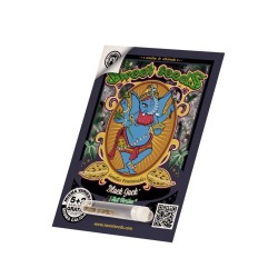 Black Jack F1 - Sweet Seeds femminizzati Sweet Seeds €22,50