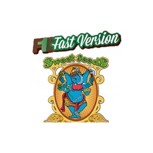 Jack 47 F1 - Sweet Seeds femminizzati Sweet Seeds €36,00