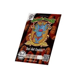 Red Hot Cookies - Sweet Seeds femminizzati Sweet Seeds €27,00