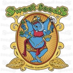 Red Hot Cookies - Sweet Seeds femminizzati Sweet Seeds €27,00