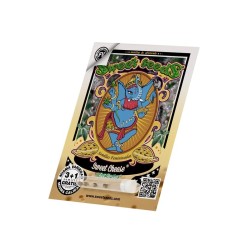 Sweet Cheese F1 - Sweet Seeds femminizzati Sweet Seeds €18,90