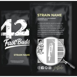 Apple Strudel Auto - Fast Buds femminizzati