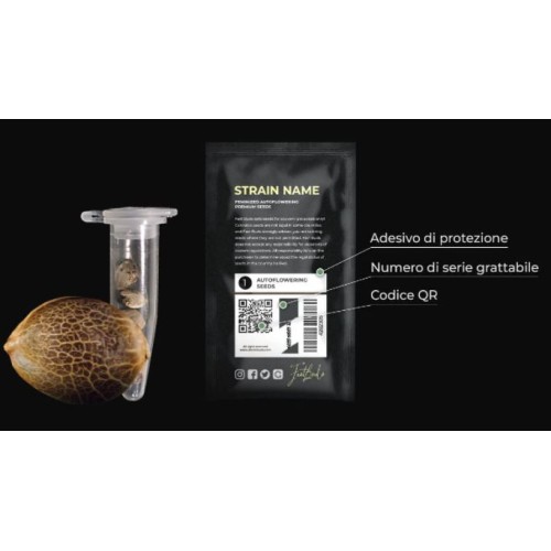 Papaya Cookies Auto - Fast Buds femminizzati