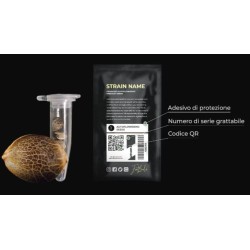 Papaya Cookies Auto - Fast Buds femminizzati