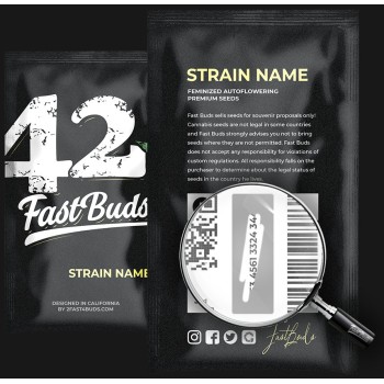 Pound Cake Auto - Fast Buds femminizzati 2