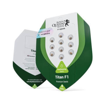 Titan F1 Autoflowering - Royal Queen Seeds femminizzati 2