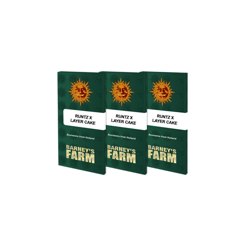 Runtz x Layer Cake - Barney's Farm femminizzati