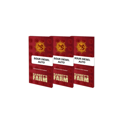 Sour Diesel Auto - Barney's farm femminizzati
