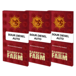 Sour Diesel Auto - Barney's farm femminizzati