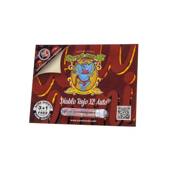Diablo Rojo XL Auto - Sweet Seeds femminizzati 2