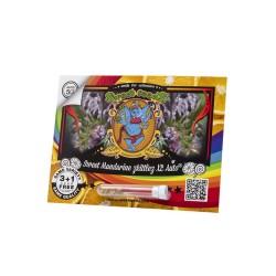 Sweet Mandarine Zkittlez XL Auto - Sweet Seeds femminizzati