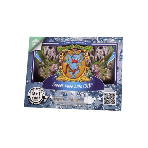 Sweet Pure Auto CBD - Sweet Seeds femminizzati