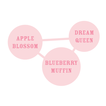 Apple Blossom - Humboldt Seed Company femminizzati 2