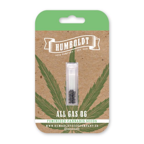 All Gas OG - Humboldt Seed Company femminizzati