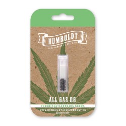 All Gas OG - Humboldt Seed Company femminizzati