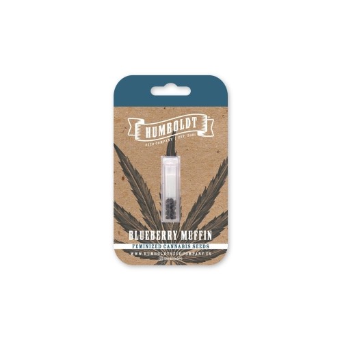 Blueberry Muffin - Humboldt Seed Company