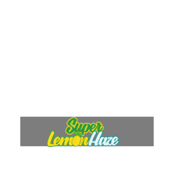 Super Lemon Haze - Green House Seeds femminizzati