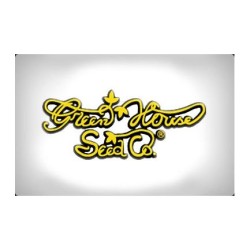 Franco's Lemon Cheese - Green House Seeds femminizzati