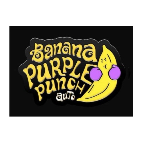 Banana Purple Punch Auto - Fast Buds femminizzati