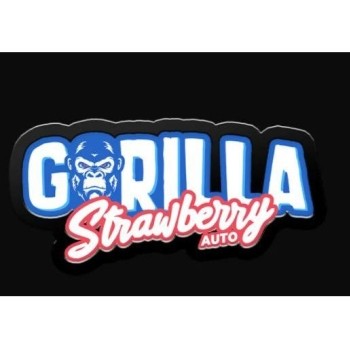 Strawberry Gorilla Auto
- Sativa 55% / Indica 45%
- 90-150 cm 2