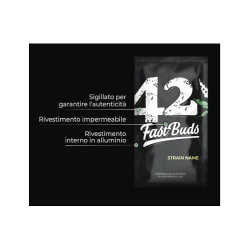 Amnesia Zkittlez Auto - Fast Buds femminizzati