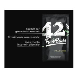 Amnesia Zkittlez Auto - Fast Buds femminizzati