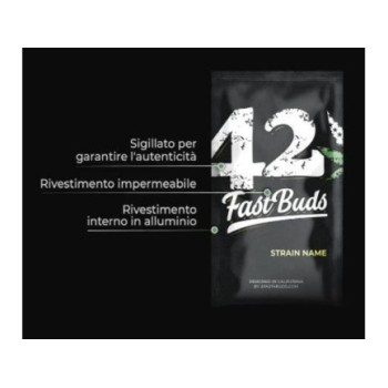 Jack Herer Auto - FastBuds femminizzati FastBuds €24,00 2