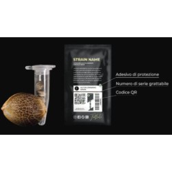 Cherry Cola Auto - Fast Buds femminizzati