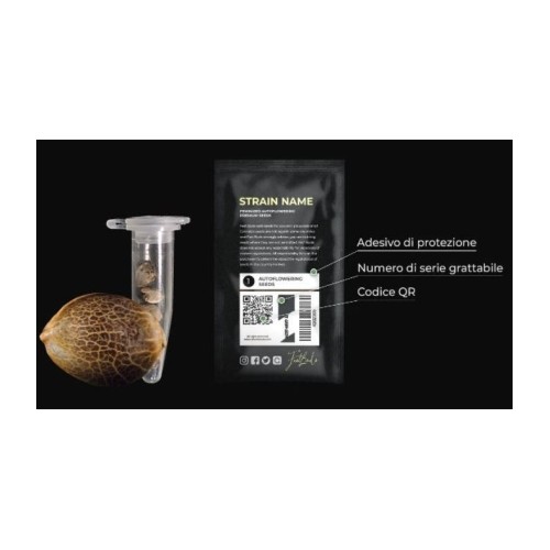 Gorilla Punch Auto - Fast Buds femminizzati