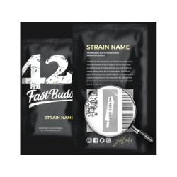 Wedding Glue Auto - Fast Buds femminizzati