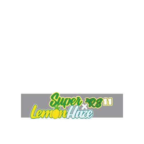 Super Lemon Haze x RS11 - Green House Seeds...