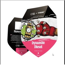 Dynamite Diesel - Royal Queen Seeds femminizzati