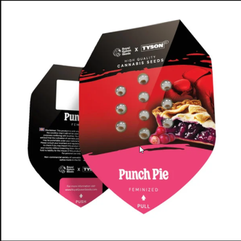 Punch Pie
- Purple Punch x Purple Kush
- Indica 90% / Sativa 10% 2