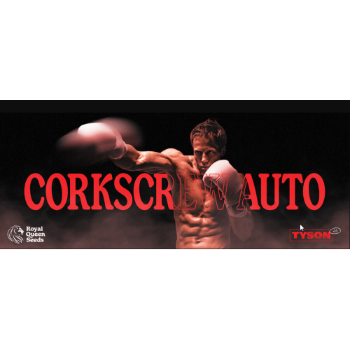 Corkscrew Auto - Royal Queen Seeds femminizzati