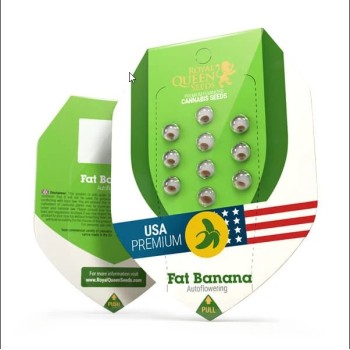 Fat Banana - Royal Queen Seeds femminizzati Royal Queen Seeds €25,00 2