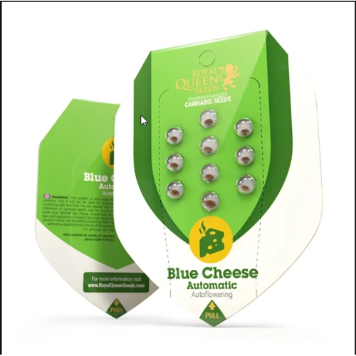Blue Cheese Auto - Royal Queen Seeds femminizzati