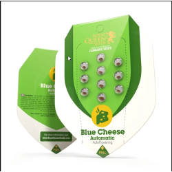 Blue Cheese Auto - Royal Queen Seeds femminizzati