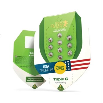 Triple G Auto 
- Triple G x Big Skunk Auto
- Indica 80% / Sativa 15% /  Ruderalis 5% 2