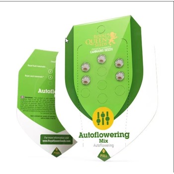 Mix Auto
- 8-10 Settimane 2