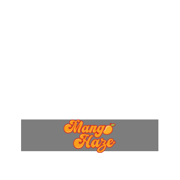 Mango Haze - Neville's Haze x Mango Haze x Laos - Sativa 80% / Indica 20% 2