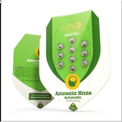Amnesia Haze Auto - Royal Queen Seeds femminizzati