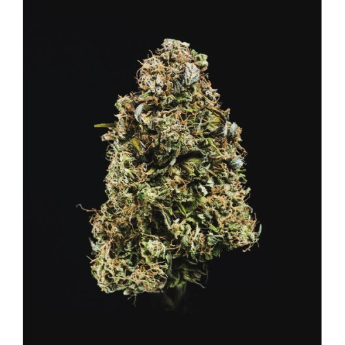 Haze Berry Auto - Royal Queen Seeds femminizzati