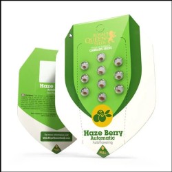 Haze Berry Auto - Royal Queen Seeds femminizzati