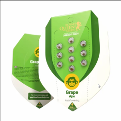 Grape Ape Auto - Royal Queen Seeds femminizzati