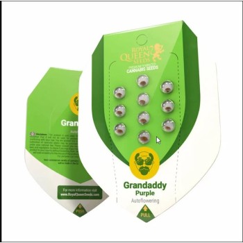 Granddaddy Purple
- Granddaddy Purple x Big Bud Auto
- Sativa 20% / 75% Indica / 5% Ruderalis 2