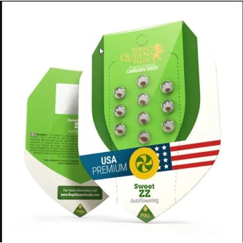 Sweet ZZ
- Sweet ZZ x Diesel Auto
- Sativa 35% /  Indica 60% / Ruderalis 5% 2