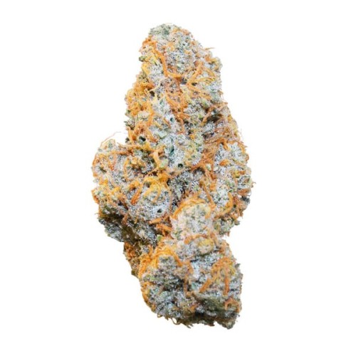 Apple Fritter Auto - Royal Queen Seeds...