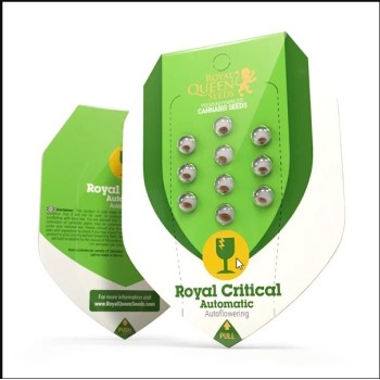 Royal Critical Auto
- Critical x Ruderalis
- Sativa 15% /  Indica 50% / Ruderalis 35%
- 6-7 Settimane 2