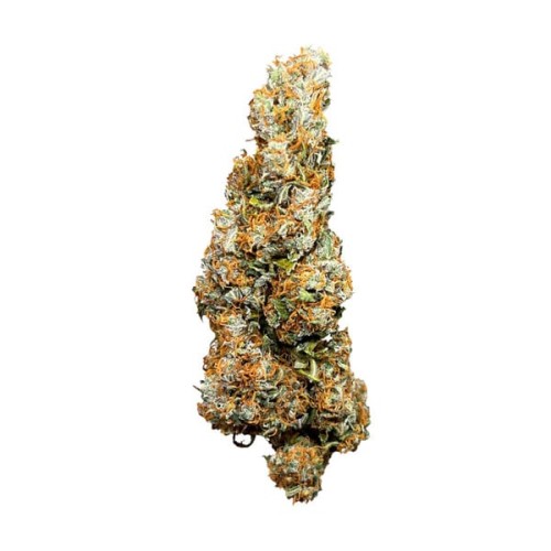 Wedding Cake Auto - Royal Queen Seeds femminizzati