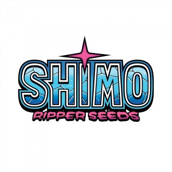 Shimo
- RS11 x K-Mintz
- Indica 60% / Sativa 40%
- 50-60 giorni 2